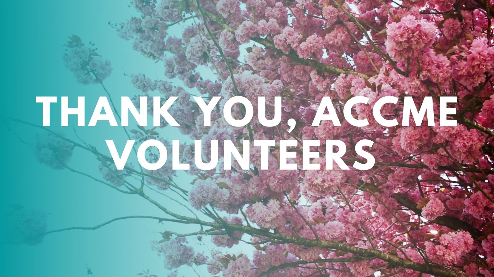 Thank you Volunteers 
